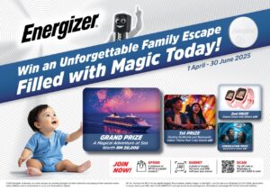 12 Energizer Shield
